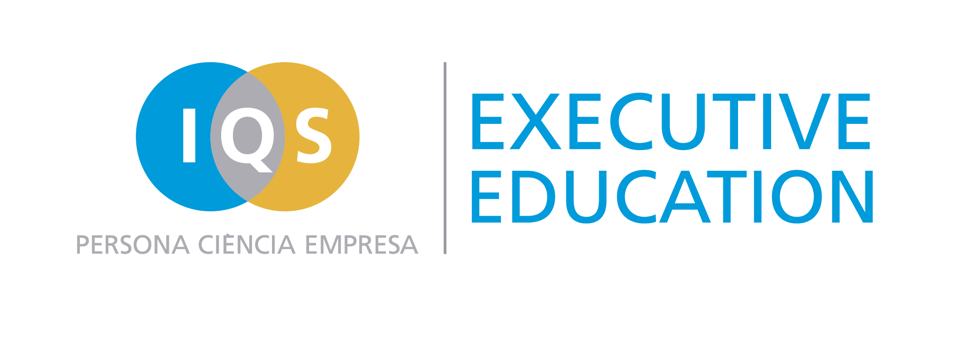 Curso de Ingeniería de Producto, Procesos y Producción - IQS Executive Education