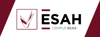 Curso de Pastelería Salada - ESAH, Estudios Superiores Abiertos de Hostelería